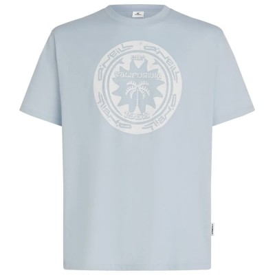 тениска,мъжки,тениски,дамски,тениски,o´neill,musthave,graphic,short,sleeve,t,shirt,blue,(spindle)