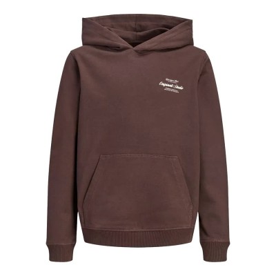 суичър,детски,блузи,jack,&,jones,norrebro,typo,back,hoodie,brown,(java)
