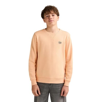 блуза,детски,блузи,petrol,industries,b,1060,swr864,sweatshirt,orange,(tropical,orange)