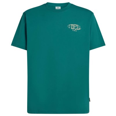 тениска,мъжки,тениски,дамски,тениски,o´neill,box,logo,short,sleeve,t,shirt,green,(botanical,heat)