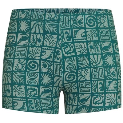бански,гащета,мъжки,бански,костюми,o´neill,essential,aop,racer,swimming,boxer,green,(blue,bricks)