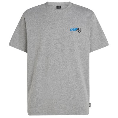 тениска,мъжки,тениски,дамски,тениски,o´neill,essentials,90´s,graphic,short,sleeve,t,shirt,grey,(silver,melee)