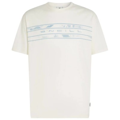 тениска,мъжки,тениски,дамски,тениски,o´neill,flower,stripe,short,sleeve,t,shirt,white,(snow,white)