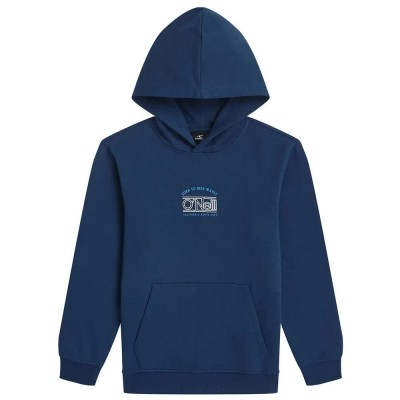суичър,детски,блузи,o´neill,graphic,hoodie,blue,(english,evening)