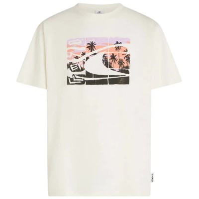 тениска,мъжки,тениски,дамски,тениски,o´neill,gradient,short,sleeve,t,shirt,white,(snow,white)