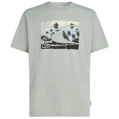 тениска,мъжки,тениски,дамски,тениски,o´neill,gradient,short,sleeve,t,shirt,grey,(marble,arch)