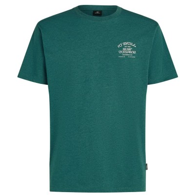тениска,мъжки,тениски,дамски,тениски,o´neill,melange,chest,print,short,sleeve,t,shirt,green,(botanical,heat)