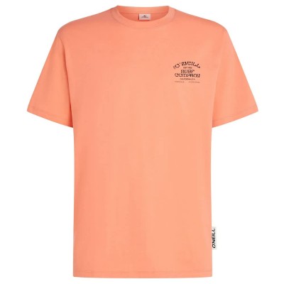 тениска,мъжки,тениски,дамски,тениски,o´neill,melange,chest,print,short,sleeve,t,shirt,orange,(funky,peach)