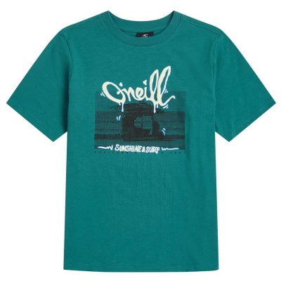тениска,мъжки,тениски,дамски,тениски,o´neill,slub,graphic,short,sleeve,t,shirt,green,(botanical,heat)
