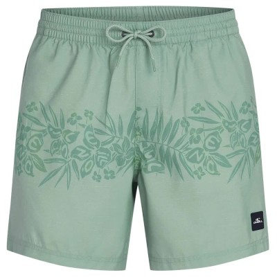 бански,гащета,мъжки,бански,костюми,o´neill,uni,flower,16´´,swimming,shorts,green,(green,tropical,stripe)