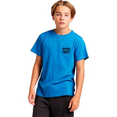 тениска,мъжки,тениски,дамски,тениски,protest,aldos,short,sleeve,t,shirt,blue,(cali,blue)