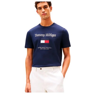 тениска,мъжки,тениски,дамски,тениски,tommy,hilfiger,embroidery,flag,short,sleeve,t,shirt,blue,(desert,sky)