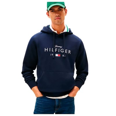 суичър,мъжки,пуловери,tommy,hilfiger,logo,graphic,hoodie,blue,(desert,sky)