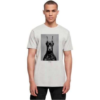 тениска,мъжки,тениски,дамски,тениски,mister,tee,dawg,short,sleeve,t,shirt,white,(light,asphalt)