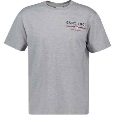 тениска,мъжки,тениски,дамски,тениски,gant,graphic,short,sleeve,t,shirt,grey,(rey,melange)