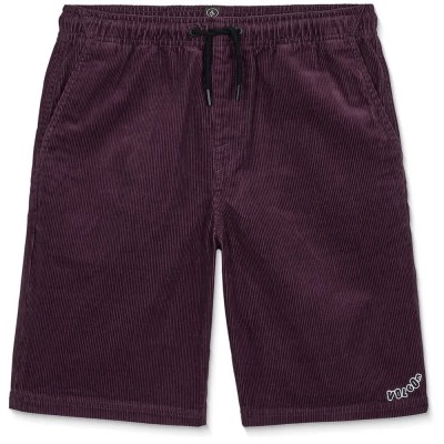 къси,панталони,мъжки,панталони,дамски,панталони,volcom,outer,spaced,shorts,purple,(pistol,punch)