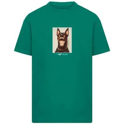 тениска,мъжки,тениски,дамски,тениски,mister,tee,neighbors,heavy,oversized,short,sleeve,t,shirt,green,(green)