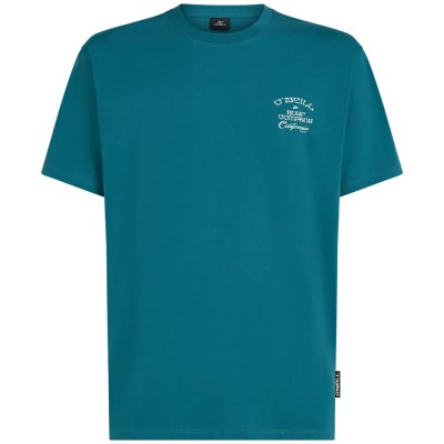 тениска,мъжки,тениски,дамски,тениски,o´neill,beach,chest,print,short,sleeve,t,shirt,green,(botanical,heat)