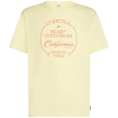 тениска,мъжки,тениски,дамски,тениски,o´neill,beach,front,print,short,sleeve,t,shirt,yellow,(rainforest,dew)