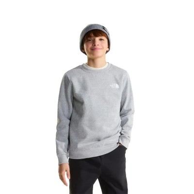 блуза,детски,блузи,the,north,face,evolution,box,nse,sweatshirt,grey,(tnf,pale,grey,heather)