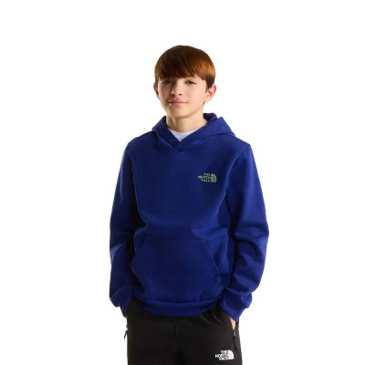 суичър,детски,блузи,the,north,face,outdoor,graphic,hoodie,blue,(bold,blue)