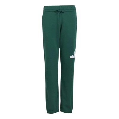 анцуг,мъжки,панталони,дамски,панталони,adidas,essentials,big,logo,french,terry,joggers,green,(collegiate,green,white)