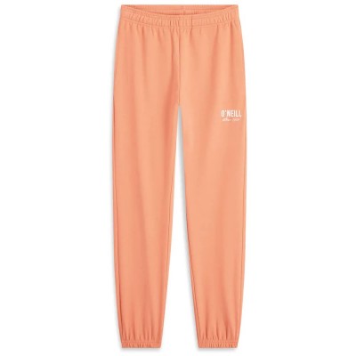 анцуг,мъжки,панталони,дамски,панталони,o´neill,essentials,sweat,pants,orange,(funky,peach)