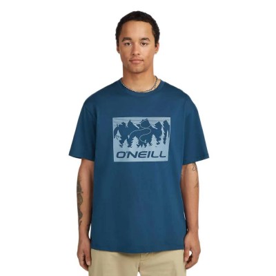 тениска,мъжки,тениски,дамски,тениски,o´neill,must,have,front,print,short,sleeve,t,shirt,blue,(regal,blue)