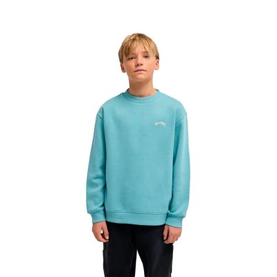 блуза,детски,блузи,billabong,arch,cr,sweatshirt,blue,(blue,haze)