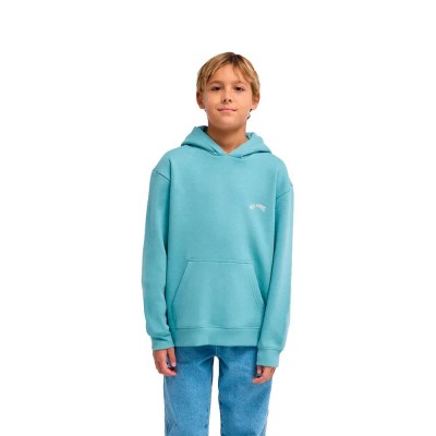 суичър,детски,блузи,billabong,arch,po,hoodie,blue,(blue,haze)
