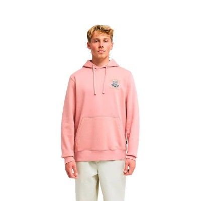 блуза,мъжки,пуловери,billabong,foundation,sweatshirt,pink,(ash,rose)