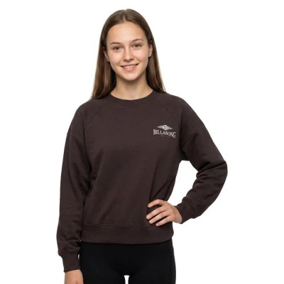 блуза,дамски,блузи,billabong,heritage,sweatshirt,brown,(black,pebble)