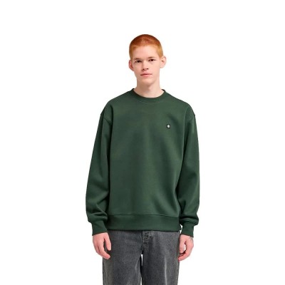 блуза,мъжки,пуловери,element,icon,rain,sweatshirt,green,(deep,forest)