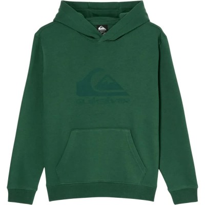 суичър,детски,блузи,quiksilver,comp,logo,hoodie,green,(forest)