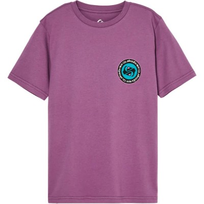тениска,мъжки,тениски,дамски,тениски,quiksilver,evo,duality,short,sleeve,t,shirt,purple,(grape,jam)