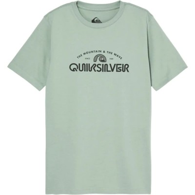 тениска,мъжки,тениски,дамски,тениски,quiksilver,evo,vista,logo,short,sleeve,t,shirt,green,(iceberg,green)