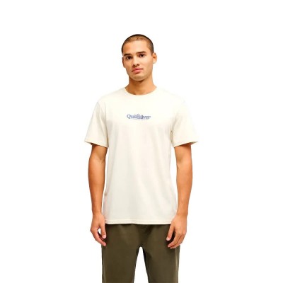тениска,мъжки,тениски,дамски,тениски,quiksilver,fineline,short,sleeve,t,shirt,white,(bone,white)