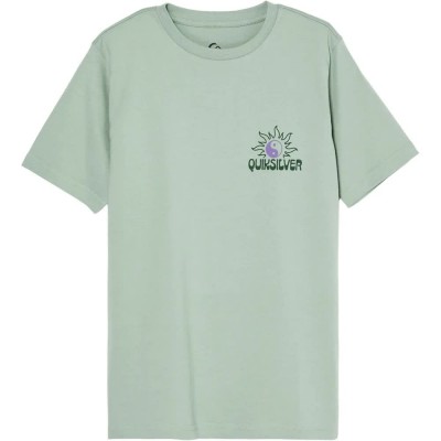 тениска,мъжки,тениски,дамски,тениски,quiksilver,fusion,short,sleeve,t,shirt,green,(iceberg,green)