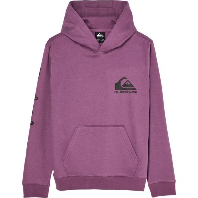 суичър,детски,блузи,quiksilver,omni,logo,hoodie,purple,(grape,jam)