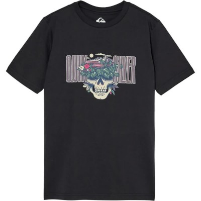 тениска,мъжки,тениски,дамски,тениски,quiksilver,paradise,point,short,sleeve,t,shirt,black,(black)