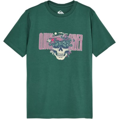 тениска,мъжки,тениски,дамски,тениски,quiksilver,paradise,point,short,sleeve,t,shirt,green,(forest)