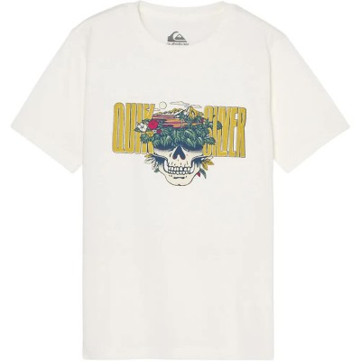 тениска,мъжки,тениски,дамски,тениски,quiksilver,paradise,point,short,sleeve,t,shirt,white,(snow,white)