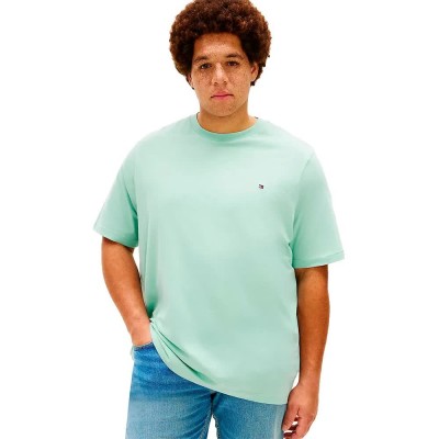 тениска,мъжки,тениски,дамски,тениски,tommy,hilfiger,mw0mw41233,plus,size,short,sleeve,t,shirt,green,(crushed,mint)