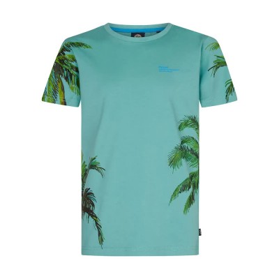 тениска,мъжки,тениски,дамски,тениски,petrol,industries,b,1050,tsr130,short,sleeve,t,shirt,green,blue,(aqua,green)