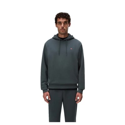 суичър,мъжки,пуловери,napapijri,balis,summer,hoodie,grey,(green,urban)