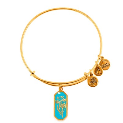 бижутерия,alex,and,ani,a14eb91yg,bracelet,golden,(gold,blue)