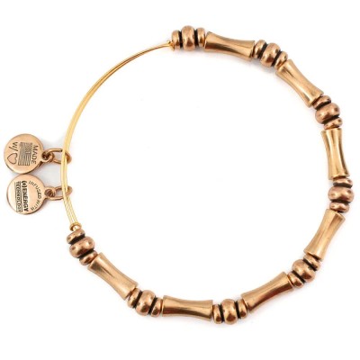 бижутерия,alex,and,ani,bamboo,bracelet,golden,(gold)
