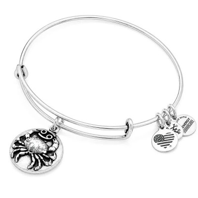 бижутерия,alex,and,ani,cancer,3,bracelet,silver,(silver)