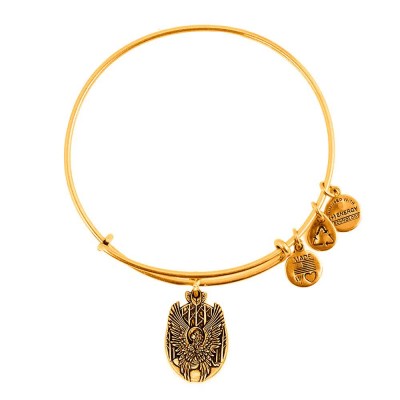 бижутерия,alex,and,ani,love,guard,bracelet,golden,(gold)