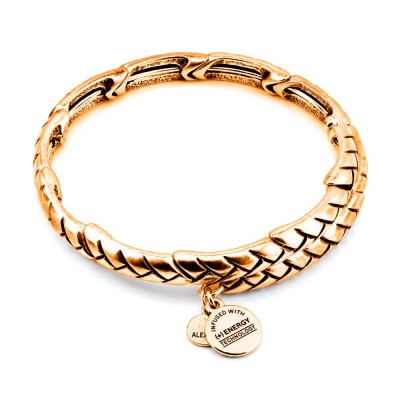 бижутерия,alex,and,ani,nature,bracelet,golden,(gold)